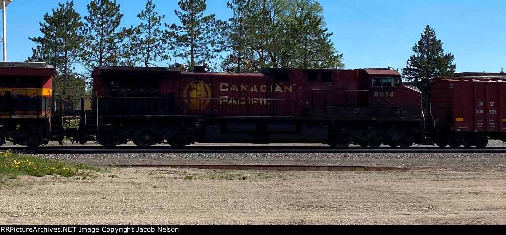 CP 9814